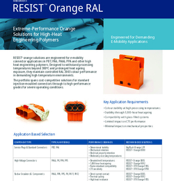RESIST Orange RAL Flyer