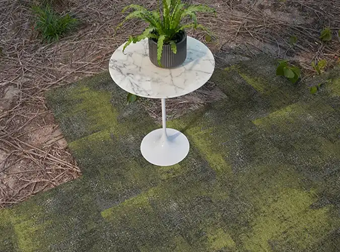 plant on a white table sitting on green carpet tile that has been installed outside