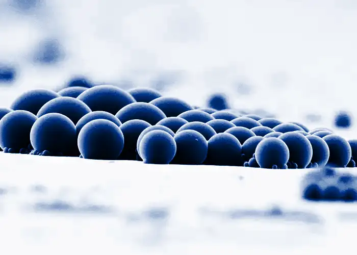 photograph at the molecular level Turnable Release Formulation