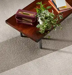 view form above of a coffee table with plants sitting on textural residential carpet