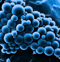 image showing Microencapsulation Technology