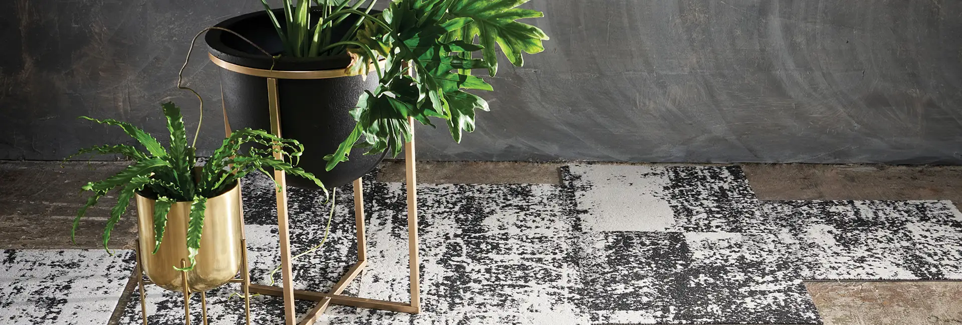 plant with a stand on textural carpet tiles 
