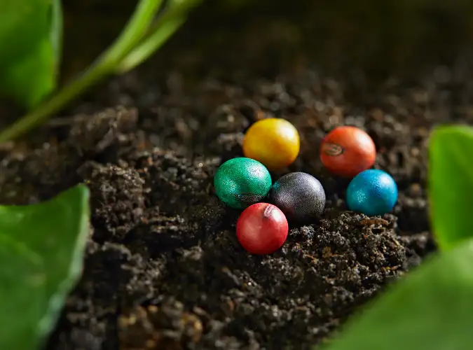 bright Agriculture Turf and Ornamental Colorants on soil