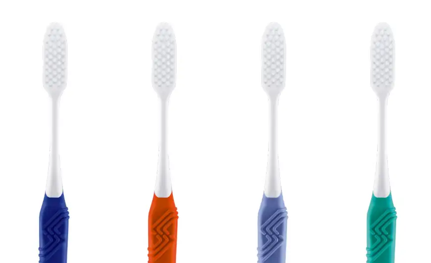 brightly colored toothbrush handles