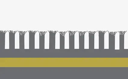 Hardback performance illustration