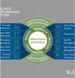 03-Consulting-On Site Training - MPS pillars.webp