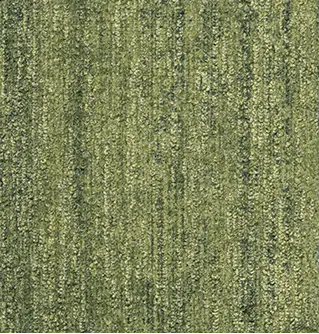New Ground in Moss