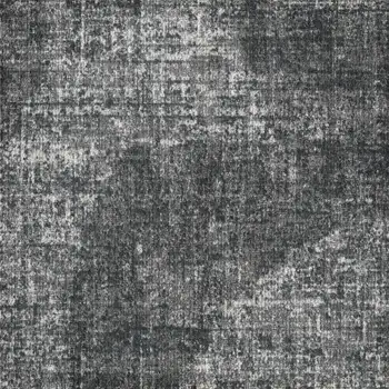 KAS19-13