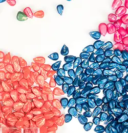 colorful seeds showing Seed Coatings