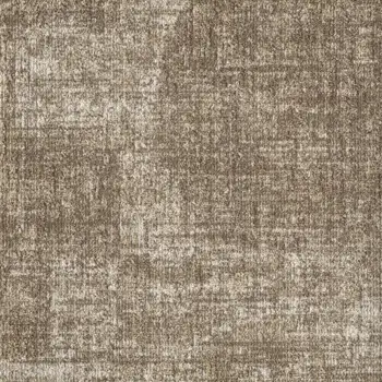 KAS81-204