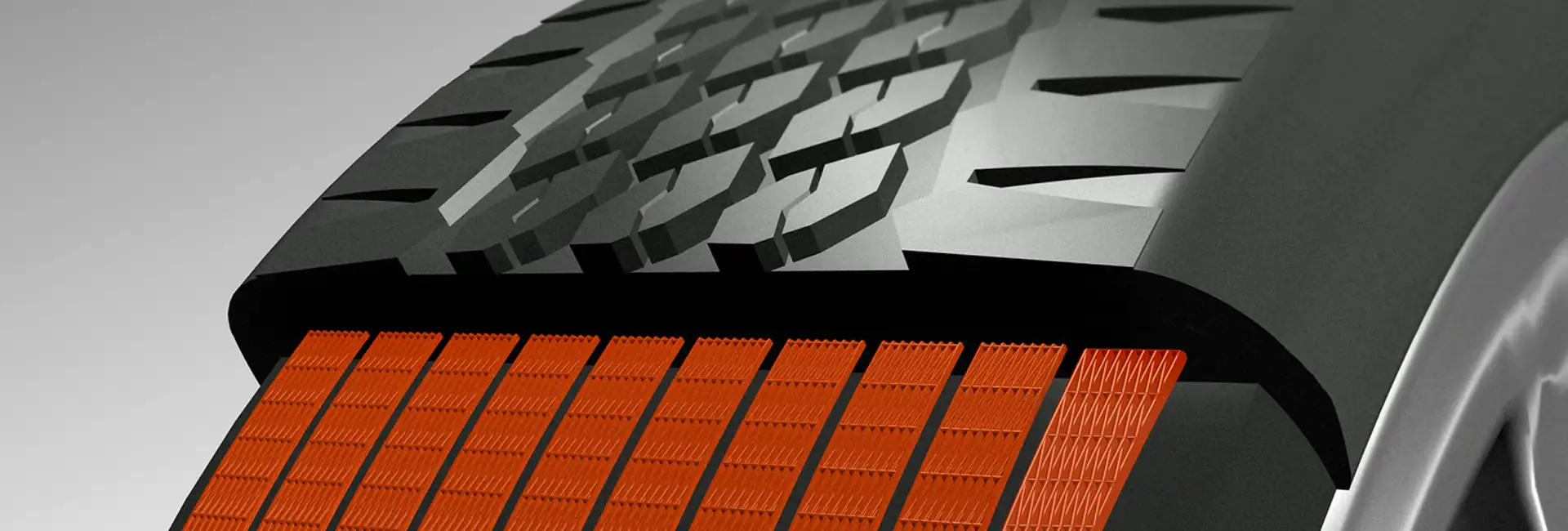 Diagram of a tire showing fabic layers