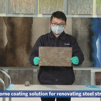 Polidene PVDC Rust Converter Video (English)