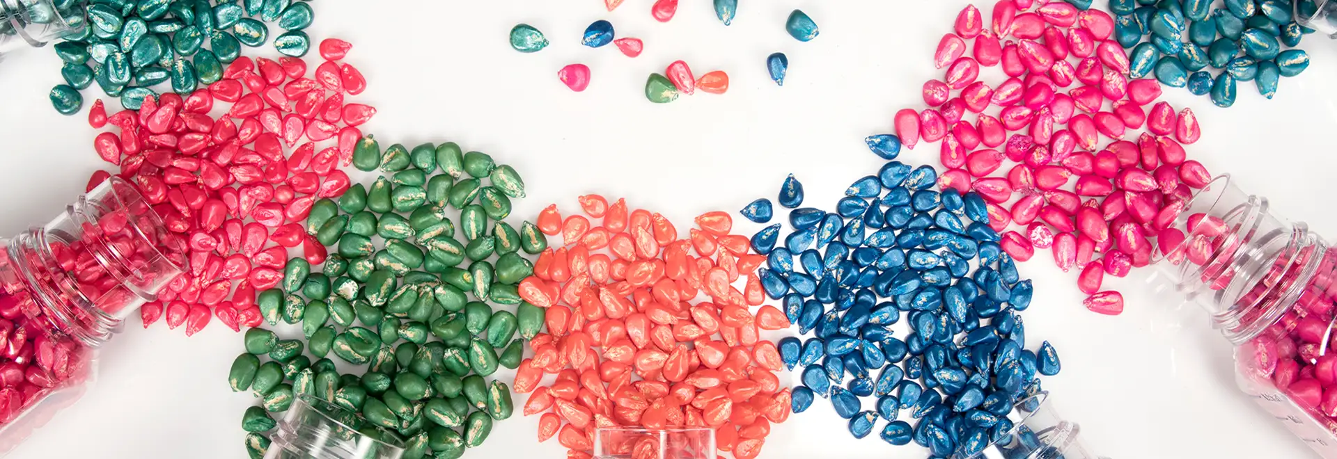 colorful seeds on white background