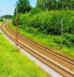 train tracks surrounds by grass srubs and trees