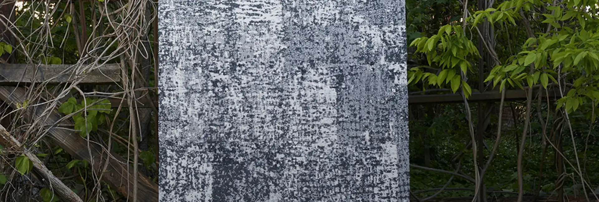 SDN carpet shown in rustic nature setting