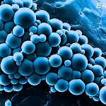 Microencapsulation image at the molecular level