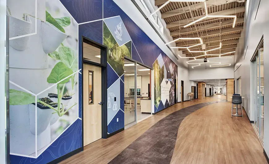 modern educational hallway with resilent flooring with a wood look and inset organic shape