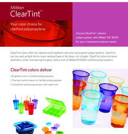 ClearTint Flyer