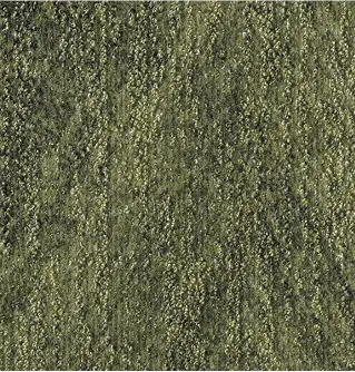 Breaking New Ground in Moss