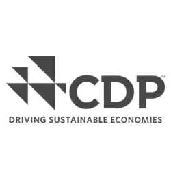 Carbon Disclosure Project .webp