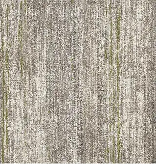 New Ground with accent - Sand with Moss