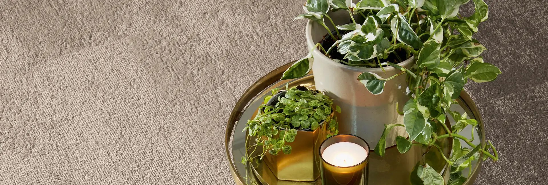 Close shot of a table with plants sitting on textured carpet tile in camels colors