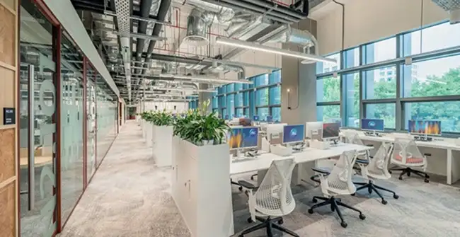 open workplace with plants and gray carpet tile flooring