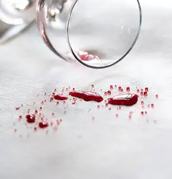 Cleaning Guide for Residential Upholstery