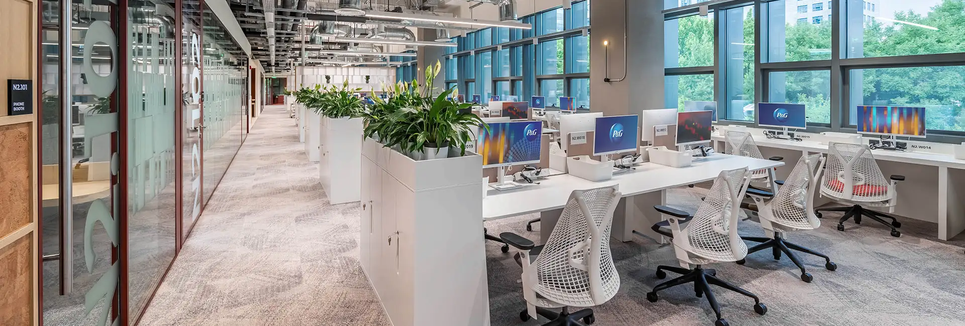 open office with plants and gray carpet tile flooring