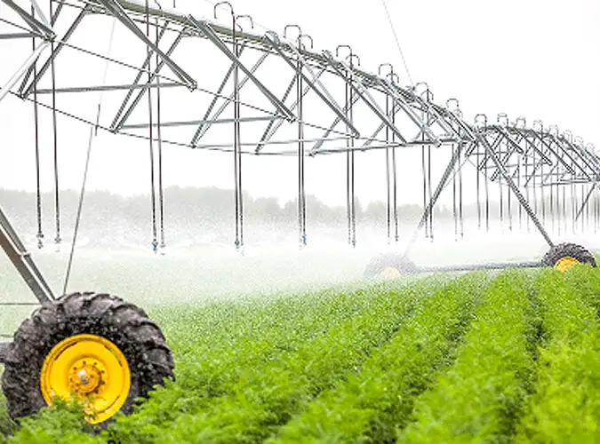 healthy crops being watered by machine