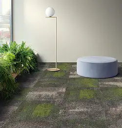 seating area with plants on neutral carpet tile with green accents