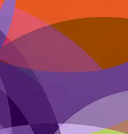 human rights policy statement  graphic