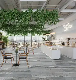Cafe with plants hanging from ceiling with grey flooring