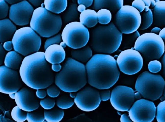Molecular level of Microencapsulation